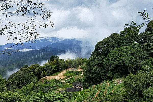 生產(chǎn)基地