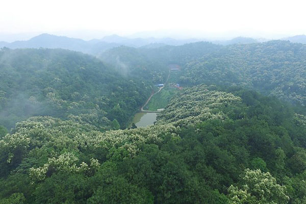 生產(chǎn)基地