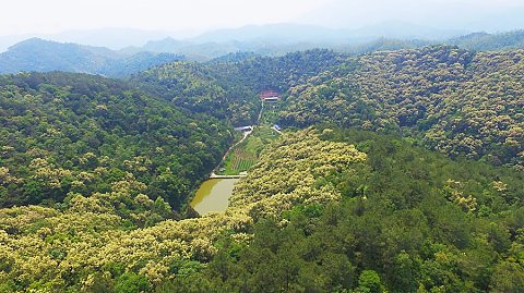 基地航拍圖
