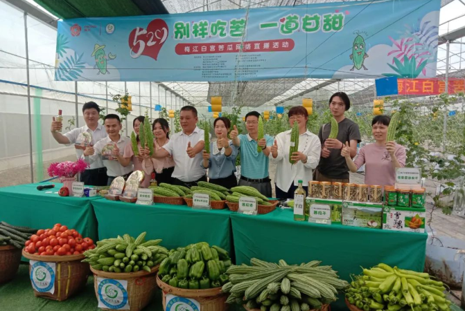 梅江白宮苦瓜網(wǎng)絡(luò)直播活動(dòng)，體驗(yàn)‘別樣吃苦，一道甘甜’